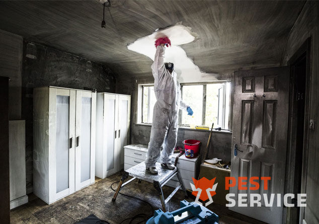 Профессиональная уборка помещений после пожара в Клинцах от 2500 руб: удаление сажи, копоти и запаха гари, глубокая очистка поверхностей и восстановление чистоты. Быстро, безопасно и эффективно.