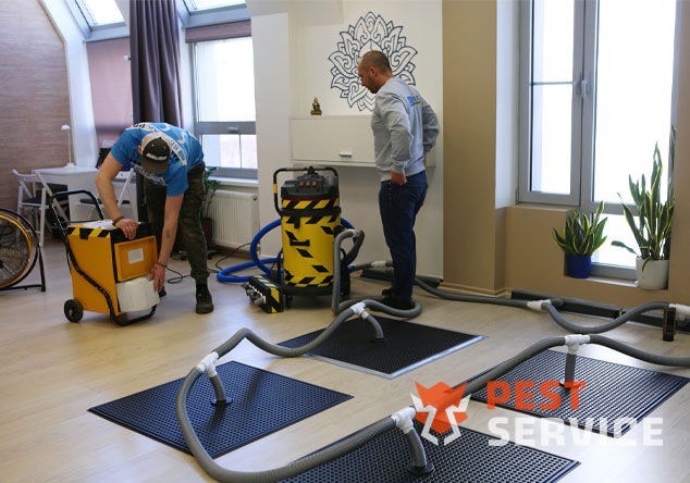 Профессиональная сушка после потопа в Клинцах от 3000 руб. Быстро устраняем влагу, предотвращаем плесень и повреждения. Современное оборудование и опытные специалисты. Безопасно и эффективно.